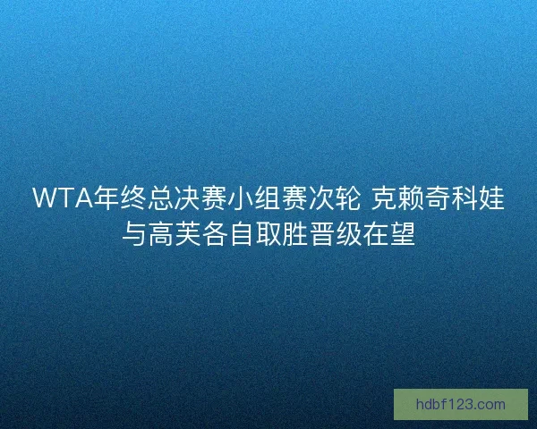 WTA年终总决赛小组赛次轮 克赖奇科娃与高芙各自取胜晋级在望