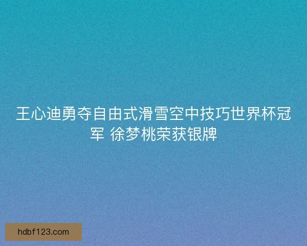 王心迪勇夺自由式滑雪空中技巧世界杯冠军 徐梦桃荣获银牌